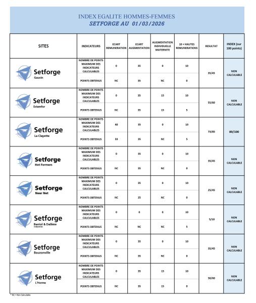 Tableau de l'index égalité hommes femmes 2026